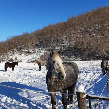 Casa Castellini Farmház