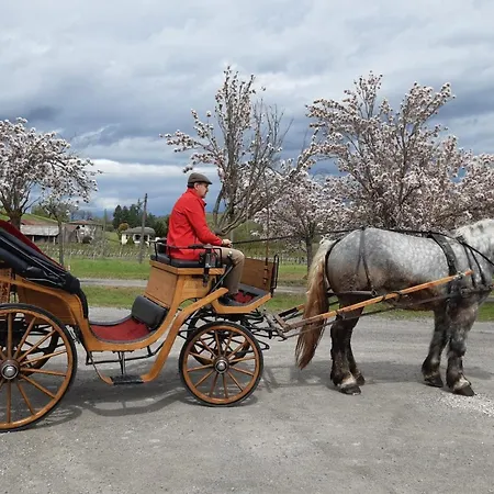 Farmház Casa Castellini